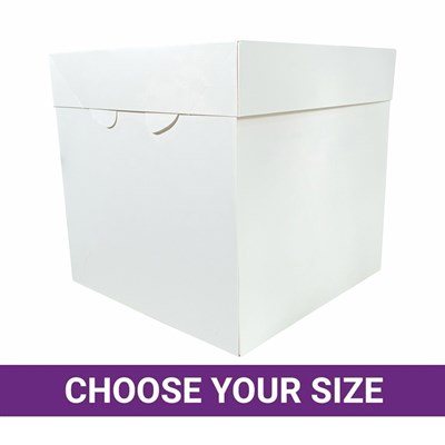 Large on sale cake box