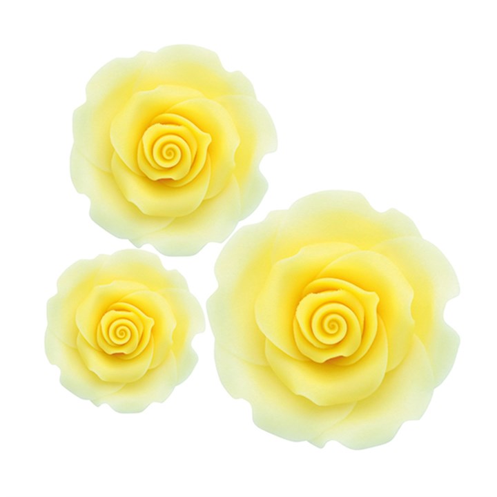 SugarSoft@Reg Yellow Ombre Roses - Assorted - Box of 12