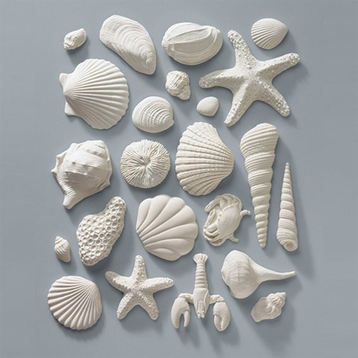Culpitt Gumpaste Sea Shells - 23 Piece